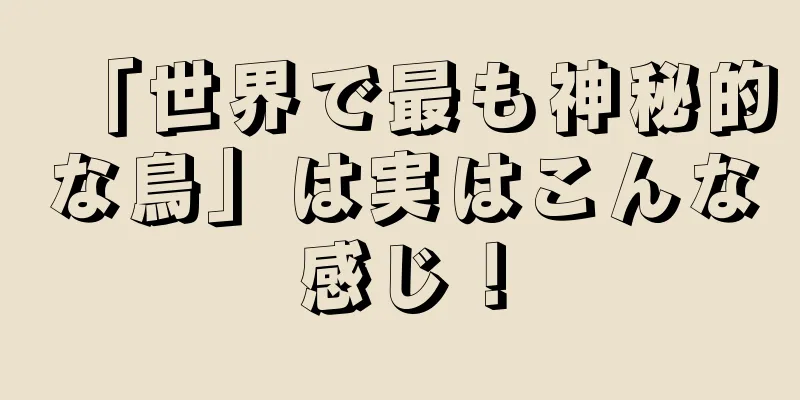 「世界で最も神秘的な鳥」は実はこんな感じ！