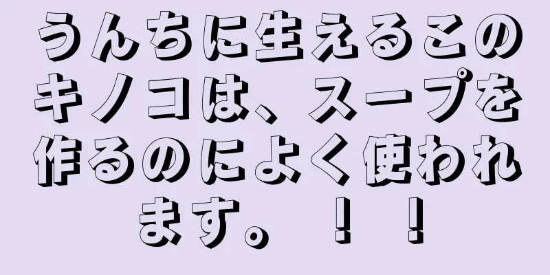 うんちに生えるこのキノコは、スープを作るのによく使われます。 ！ ！