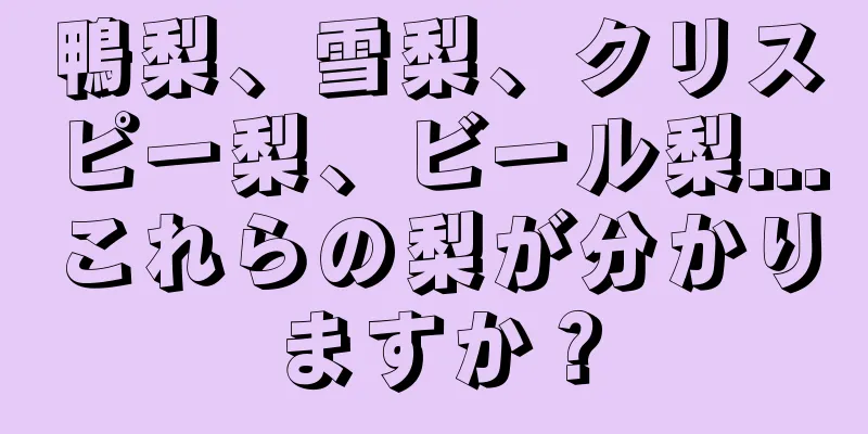 鴨梨、雪梨、クリスピー梨、ビール梨...これらの梨が分かりますか？
