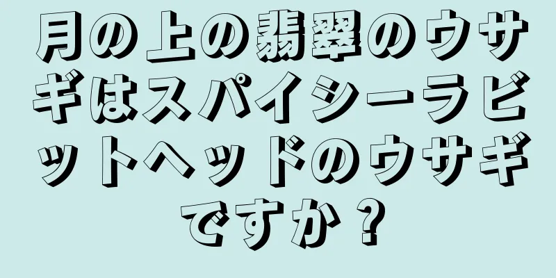 月の上の翡翠のウサギはスパイシーラビットヘッドのウサギですか？