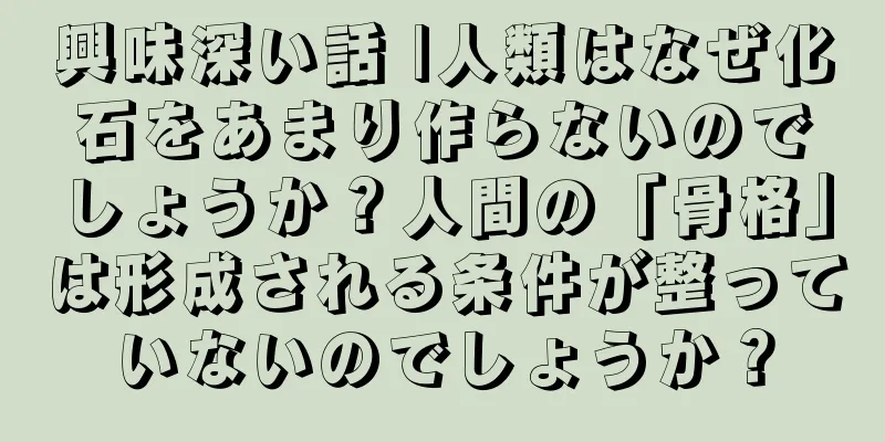 興味深い話 |人類はなぜ化石をあまり作らないのでしょうか？人間の「骨格」は形成される条件が整っていないのでしょうか？