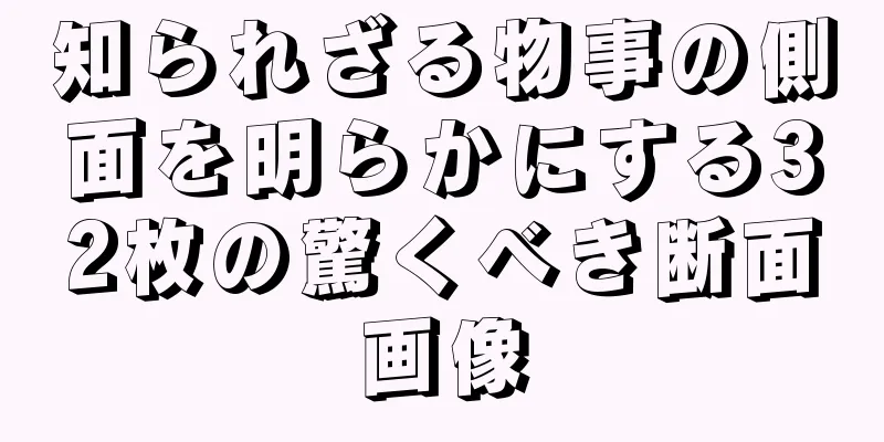 知られざる物事の側面を明らかにする32枚の驚くべき断面画像