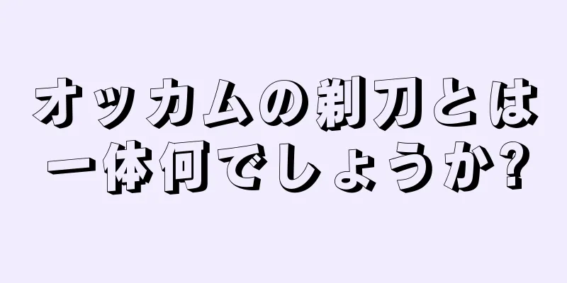 オッカムの剃刀とは一体何でしょうか?