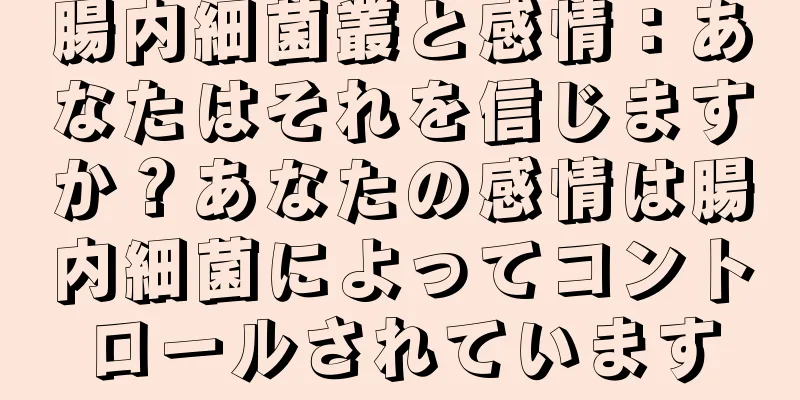 腸内細菌叢と感情：あなたはそれを信じますか？あなたの感情は腸内細菌によってコントロールされています