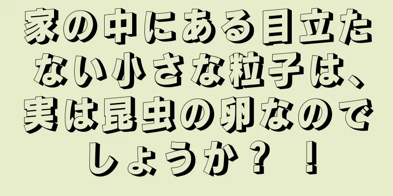 家の中にある目立たない小さな粒子は、実は昆虫の卵なのでしょうか？ ！