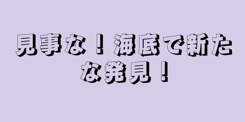 見事な！海底で新たな発見！
