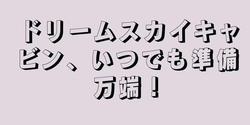 ドリームスカイキャビン、いつでも準備万端！
