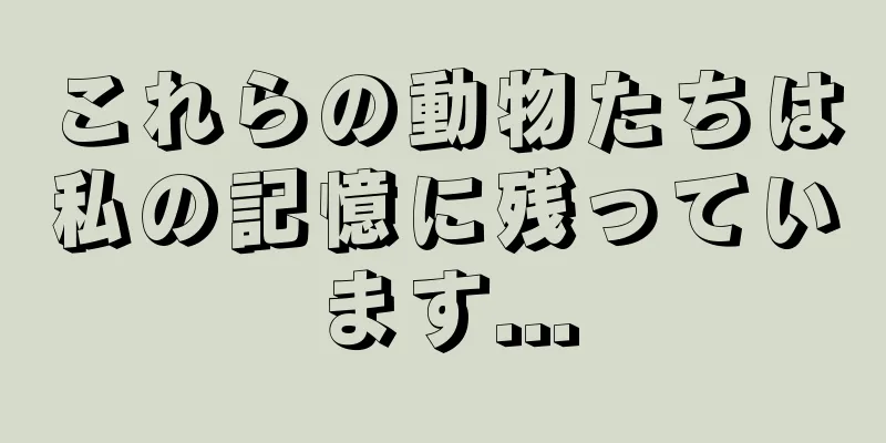 これらの動物たちは私の記憶に残っています...