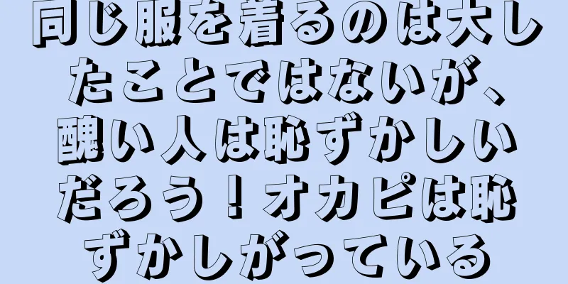 同じ服を着るのは大したことではないが、醜い人は恥ずかしいだろう！オカピは恥ずかしがっている