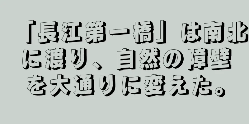 「長江第一橋」は南北に渡り、自然の障壁を大通りに変えた。