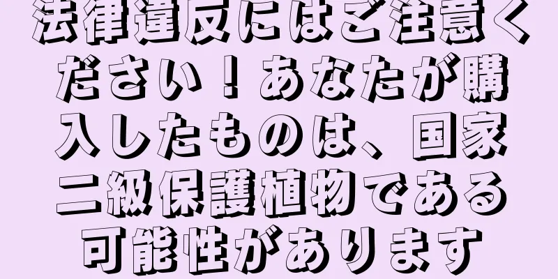 法律違反にはご注意ください！あなたが購入したものは、国家二級保護植物である可能性があります