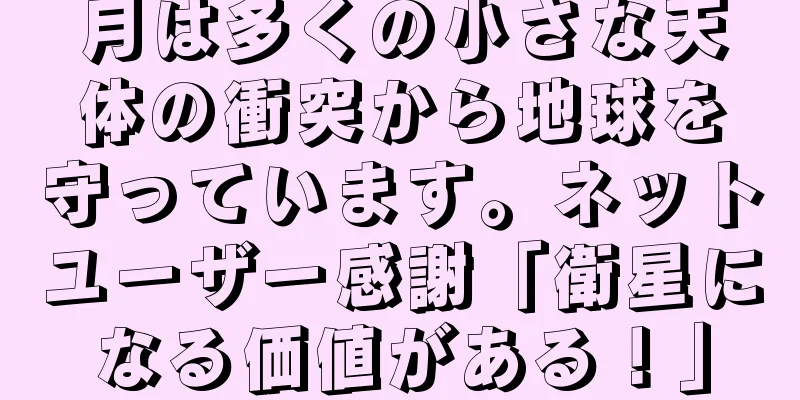 月は多くの小さな天体の衝突から地球を守っています。ネットユーザー感謝「衛星になる価値がある！」