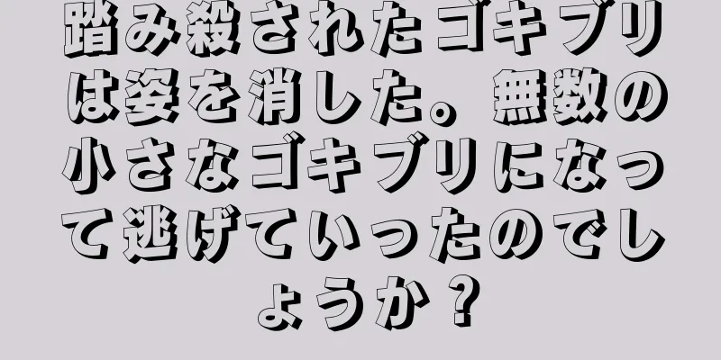 踏み殺されたゴキブリは姿を消した。無数の小さなゴキブリになって逃げていったのでしょうか？