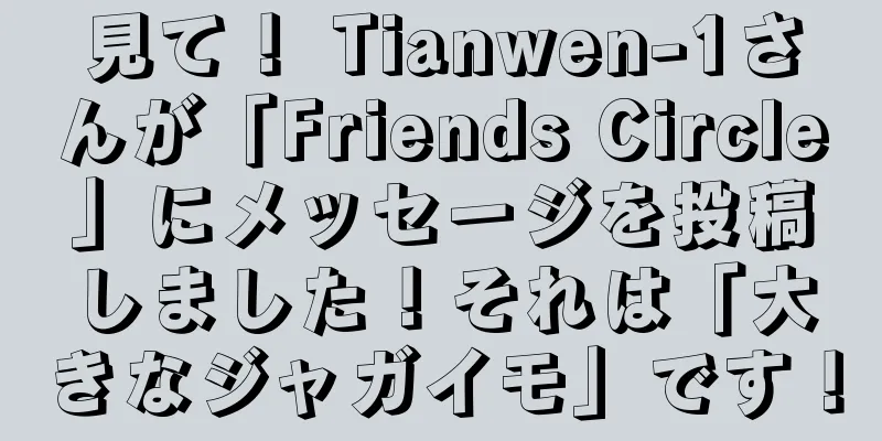 見て！ Tianwen-1さんが「Friends Circle」にメッセージを投稿しました！それは「大きなジャガイモ」です！