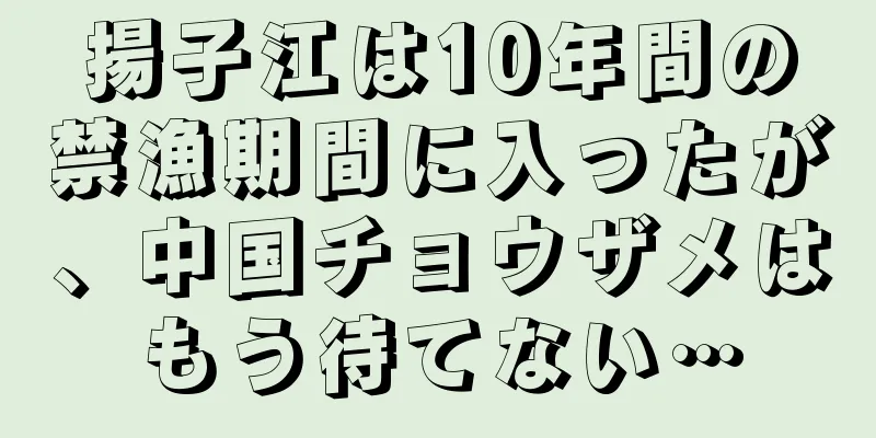 揚子江は10年間の禁漁期間に入ったが、中国チョウザメはもう待てない…