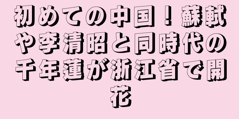 初めての中国！蘇軾や李清昭と同時代の千年蓮が浙江省で開花