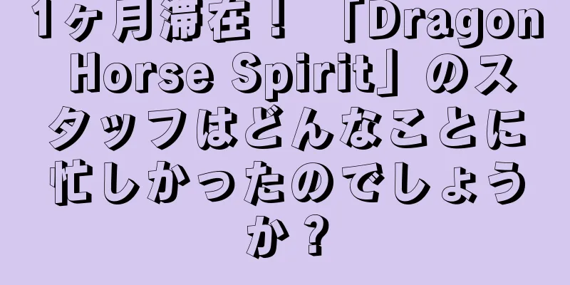 1ヶ月滞在！ 「Dragon Horse Spirit」のスタッフはどんなことに忙しかったのでしょうか？