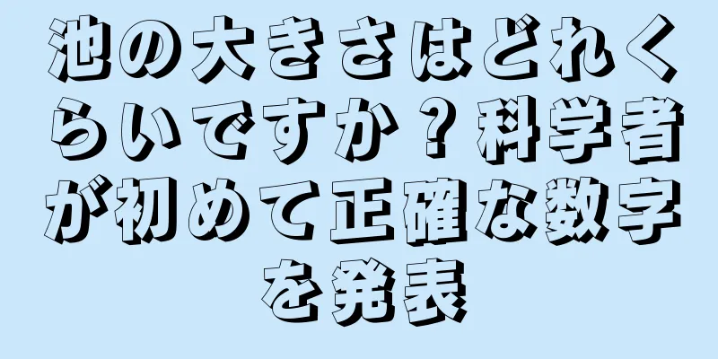 池の大きさはどれくらいですか？科学者が初めて正確な数字を発表