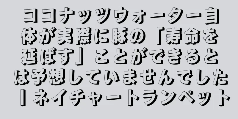 ココナッツウォーター自体が実際に豚の「寿命を延ばす」ことができるとは予想していませんでした丨ネイチャートランペット