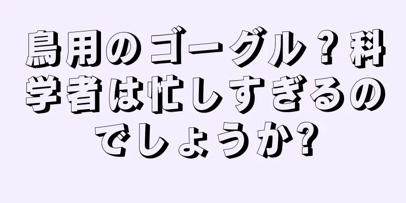 鳥用のゴーグル？科学者は忙しすぎるのでしょうか?