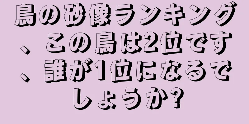 鳥の砂像ランキング、この鳥は2位です、誰が1位になるでしょうか?