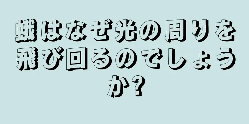 蛾はなぜ光の周りを飛び回るのでしょうか?