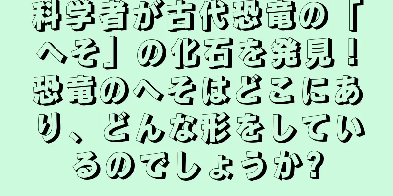 科学者が古代恐竜の「へそ」の化石を発見！恐竜のへそはどこにあり、どんな形をしているのでしょうか?