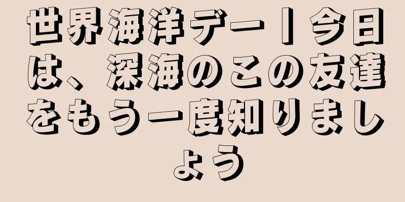 世界海洋デー丨今日は、深海のこの友達をもう一度知りましょう