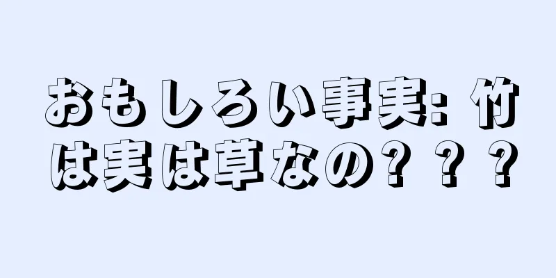 おもしろい事実: 竹は実は草なの? ? ?