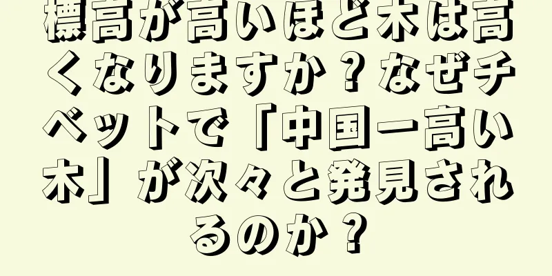標高が高いほど木は高くなりますか？なぜチベットで「中国一高い木」が次々と発見されるのか？