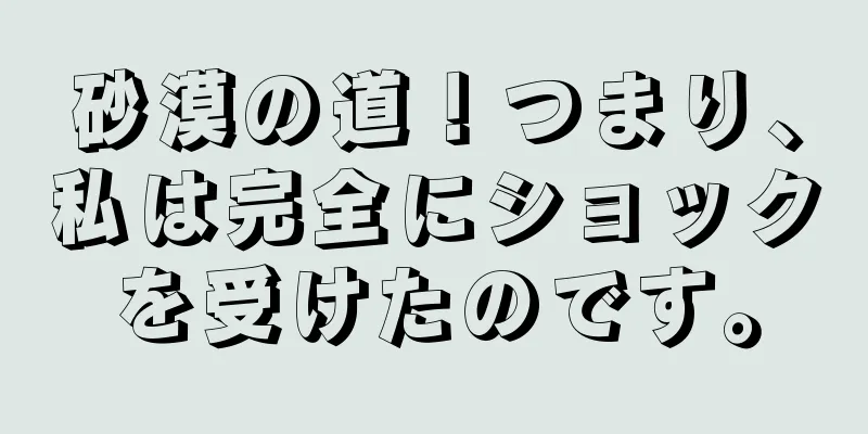 砂漠の道！つまり、私は完全にショックを受けたのです。