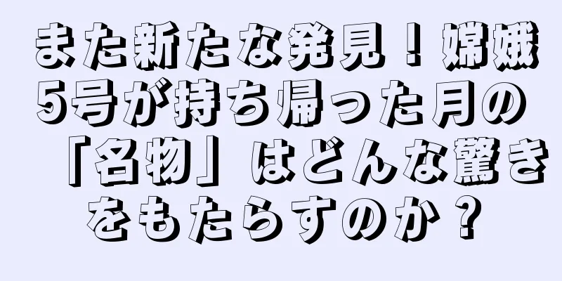 また新たな発見！嫦娥5号が持ち帰った月の「名物」はどんな驚きをもたらすのか？