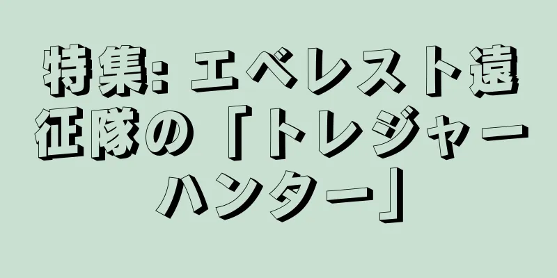 特集: エベレスト遠征隊の「トレジャーハンター」