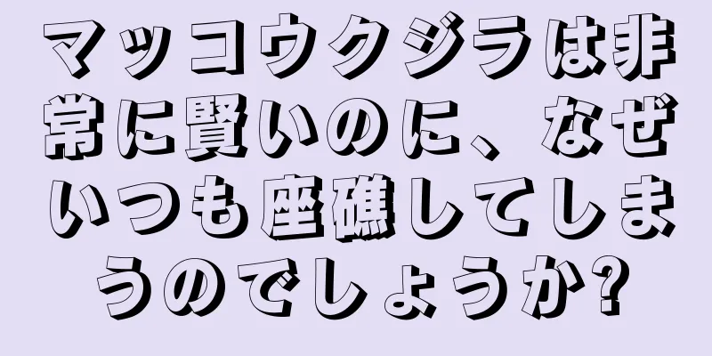マッコウクジラは非常に賢いのに、なぜいつも座礁してしまうのでしょうか?