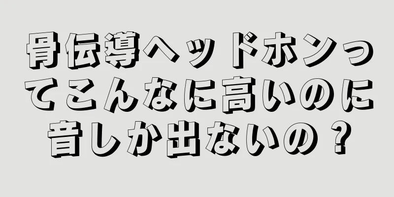 骨伝導ヘッドホンってこんなに高いのに音しか出ないの？