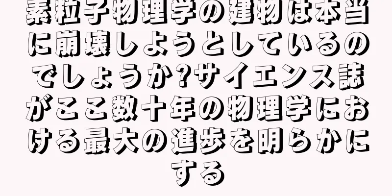 素粒子物理学の建物は本当に崩壊しようとしているのでしょうか?サイエンス誌がここ数十年の物理学における最大の進歩を明らかにする