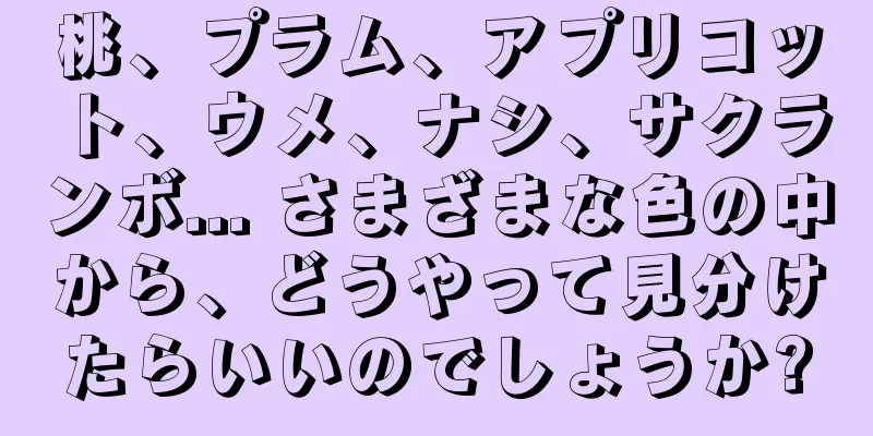 桃、プラム、アプリコット、ウメ、ナシ、サクランボ... さまざまな色の中から、どうやって見分けたらいいのでしょうか?