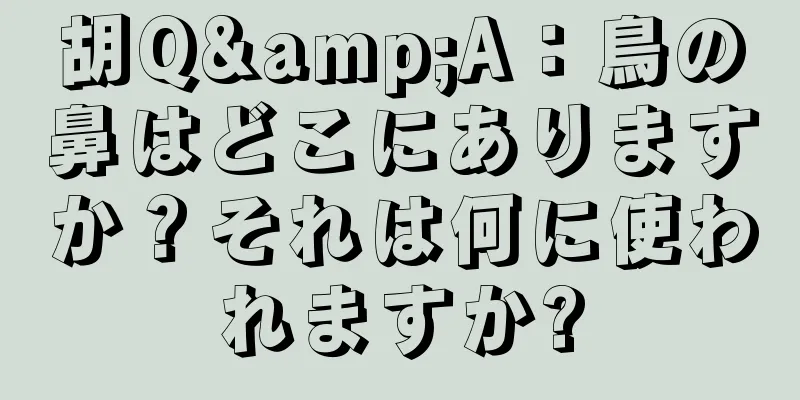 胡Q&A：鳥の鼻はどこにありますか？それは何に使われますか?