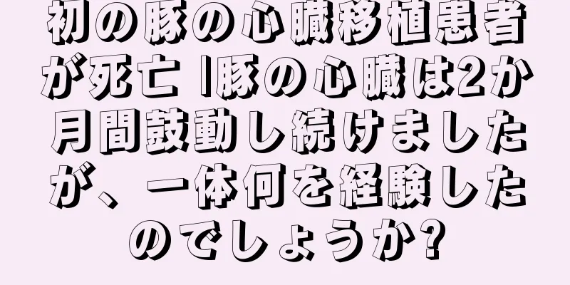 初の豚の心臓移植患者が死亡 |豚の心臓は2か月間鼓動し続けましたが、一体何を経験したのでしょうか?