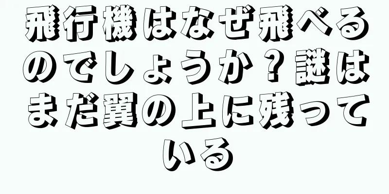 飛行機はなぜ飛べるのでしょうか？謎はまだ翼の上に残っている