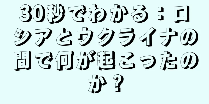 30秒でわかる：ロシアとウクライナの間で何が起こったのか？