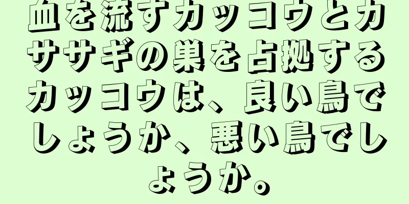 血を流すカッコウとカササギの巣を占拠するカッコウは、良い鳥でしょうか、悪い鳥でしょうか。