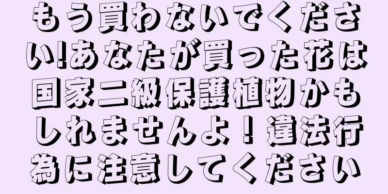 もう買わないでください!あなたが買った花は国家二級保護植物かもしれませんよ！違法行為に注意してください
