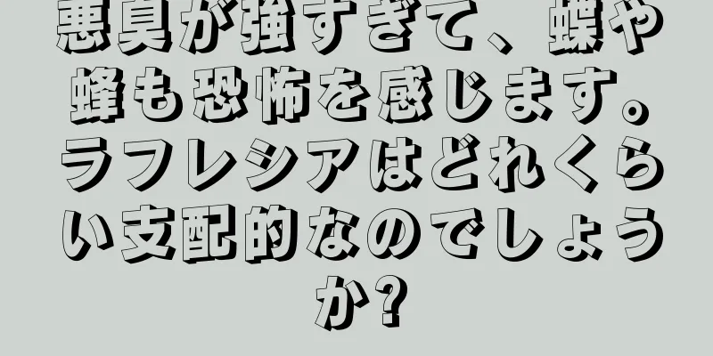 悪臭が強すぎて、蝶や蜂も恐怖を感じます。ラフレシアはどれくらい支配的なのでしょうか?