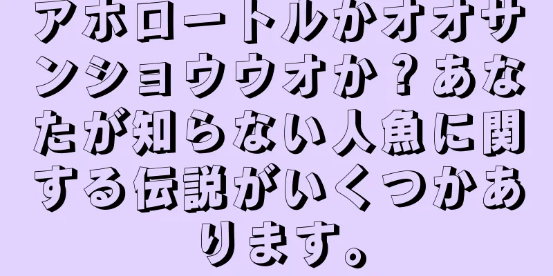 アホロートルかオオサンショウウオか？あなたが知らない人魚に関する伝説がいくつかあります。