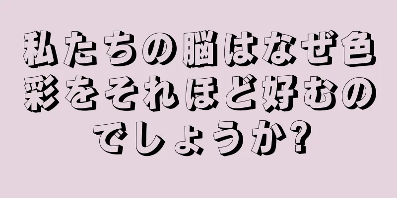 私たちの脳はなぜ色彩をそれほど好むのでしょうか?