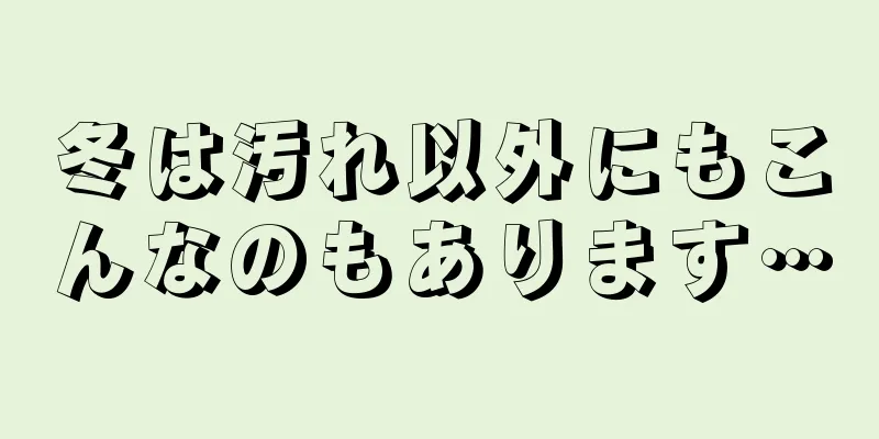 冬は汚れ以外にもこんなのもあります…