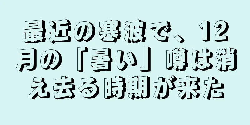 最近の寒波で、12月の「暑い」噂は消え去る時期が来た