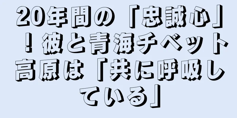 20年間の「忠誠心」！彼と青海チベット高原は「共に呼吸している」