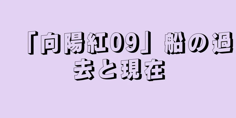 「向陽紅09」船の過去と現在